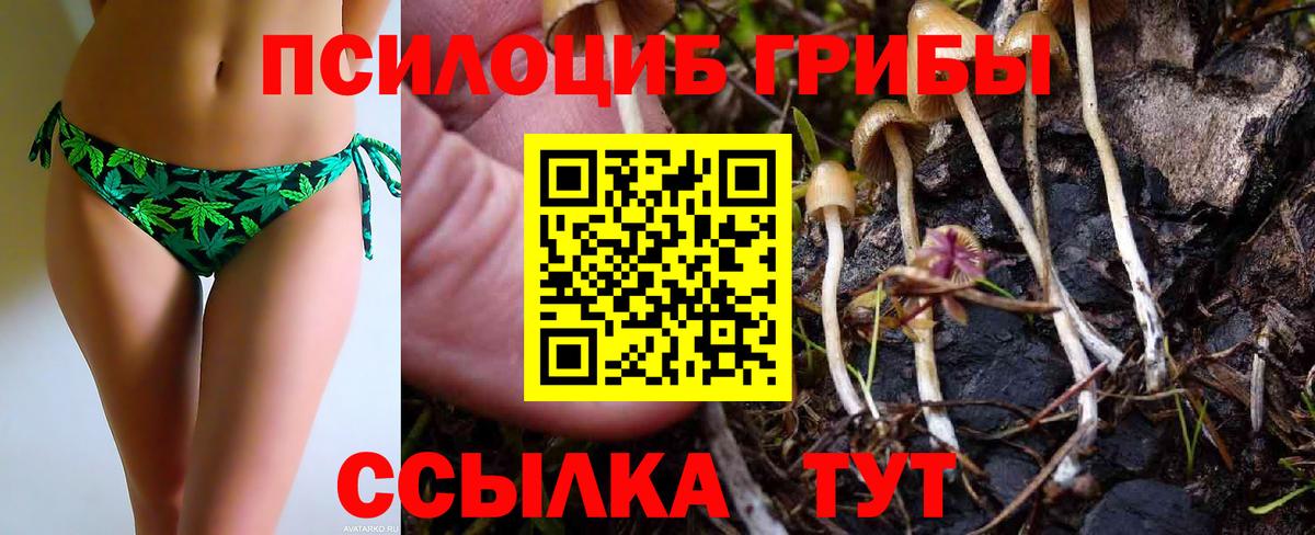 Галлюциногенные грибы Cubensis Бор