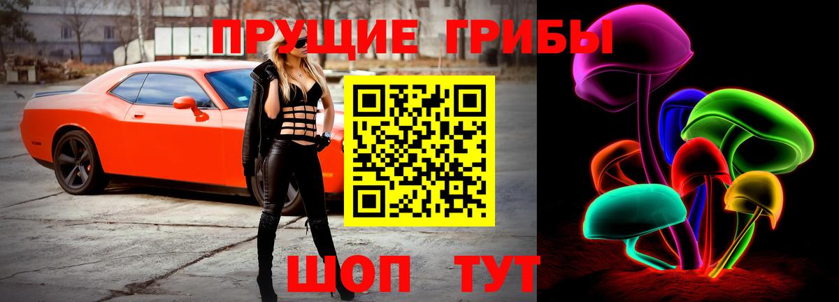 Псилоцибиновые грибы Magic Shrooms  Псилоцибиновые грибы GOLDEN TEACHER  Бор  Вход с VPN 
