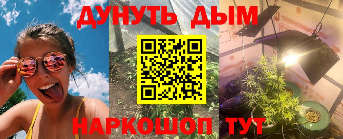 Гашиш Бор